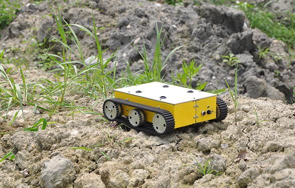 五大联赛买球赛图片